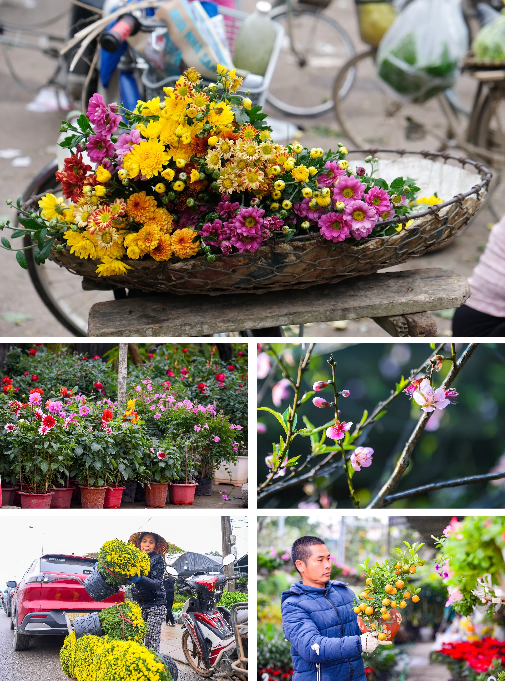 [E-Magazine] Nẻo về chợ Tết