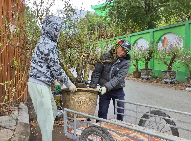 Lao động tự do “chạy Tết”