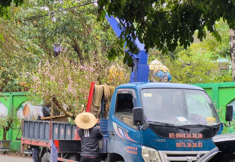 Lao động tự do “chạy Tết”