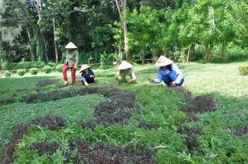 Các điểm du lịch tâm linh sẵn sàng cho mùa du xuân