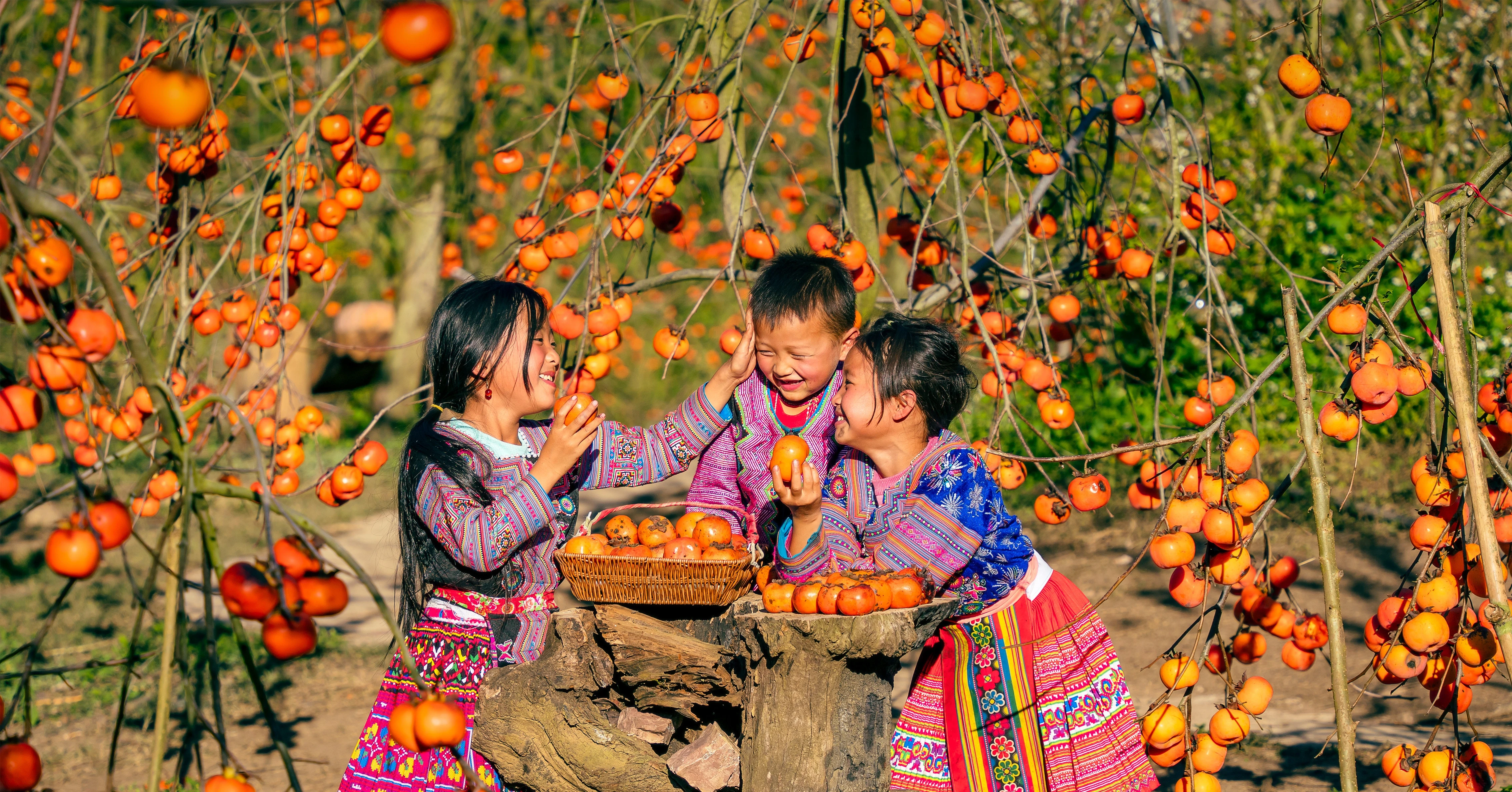 Phát động Cuộc thi ảnh, video “Tết hạnh phúc” trực tuyến trên nền tảng số