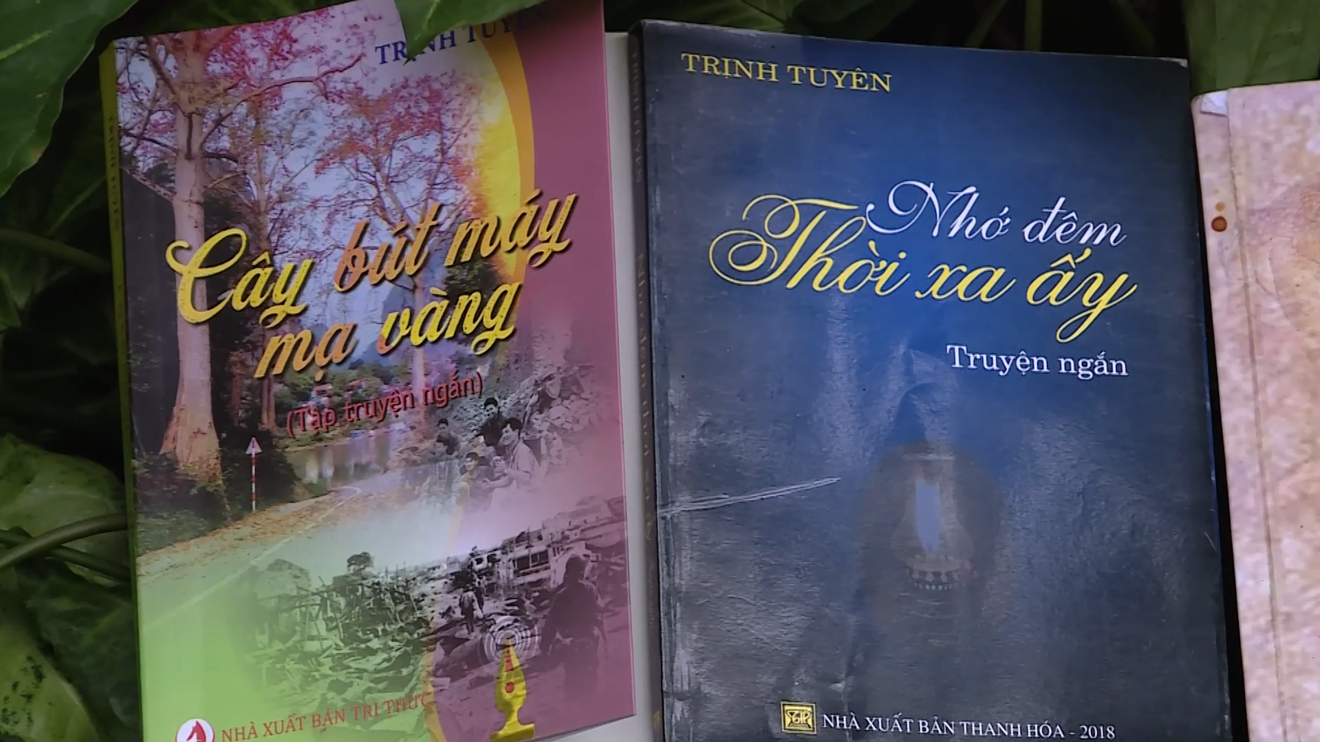 Dấu ấn truyện ngắn của nhà văn Trịnh Tuyên