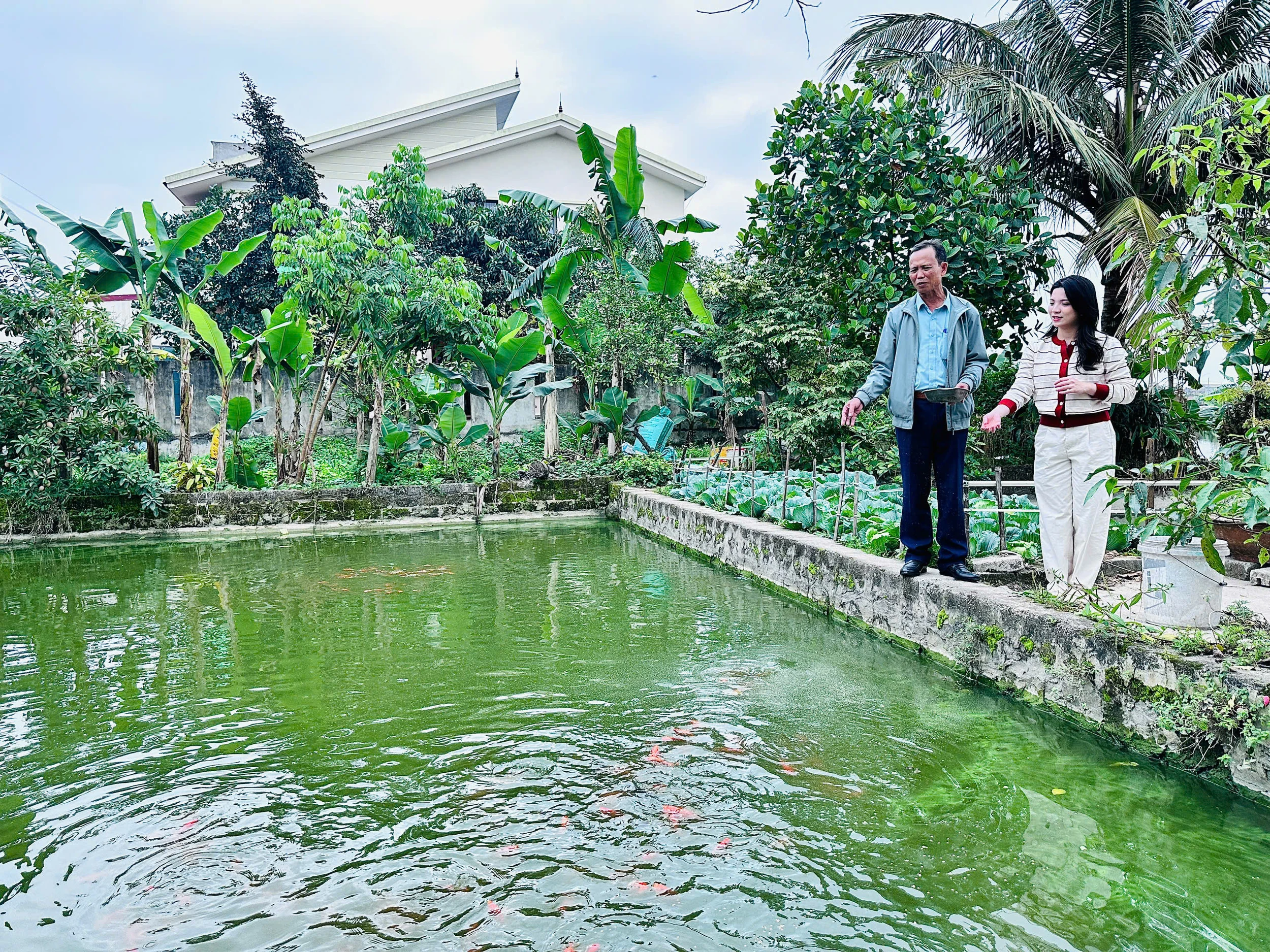 Giữ gìn hồn Việt trong sắc đỏ cá chép