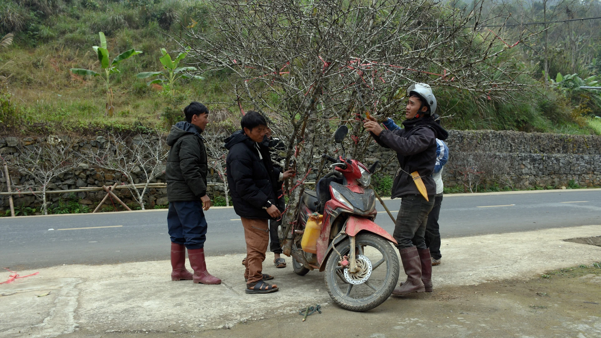 Sắc đào gọi xuân về vùng cao xứ Thanh