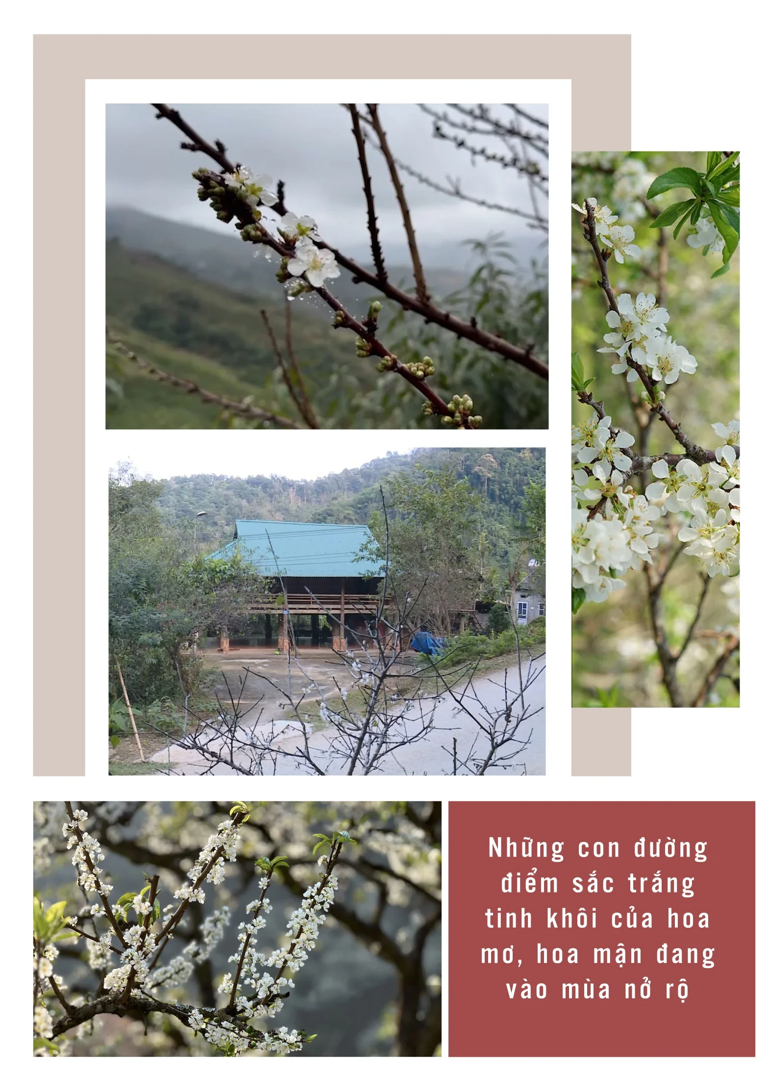 [E-Magazine]: Rộn ràng Tết bản Thái