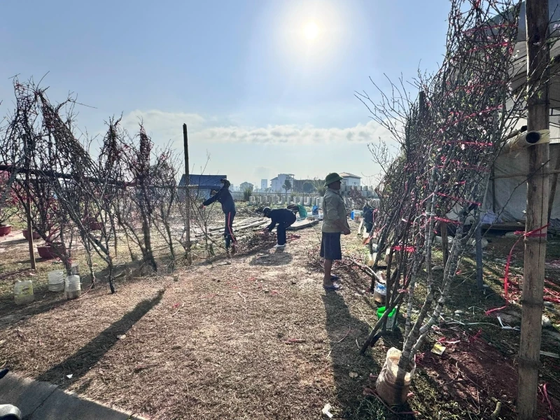 Chở mùa xuân về!