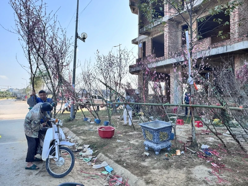 Chở mùa xuân về!