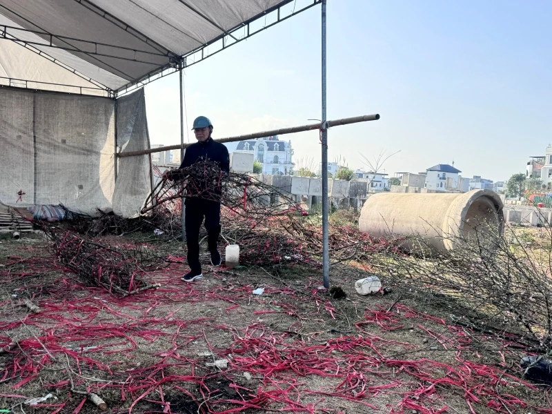 Chở mùa xuân về!