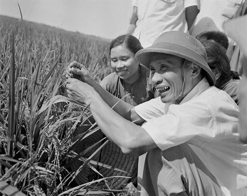 Một số danh nhân văn hóa, lịch sử Việt Nam sinh năm Ngọ