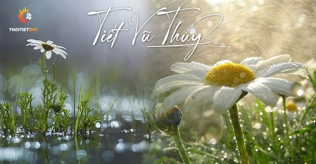 Tiết Vũ Thủy 2026 vào ngày mùng 2 Tết: “mưa xuân mở cửa” cho một năm mới