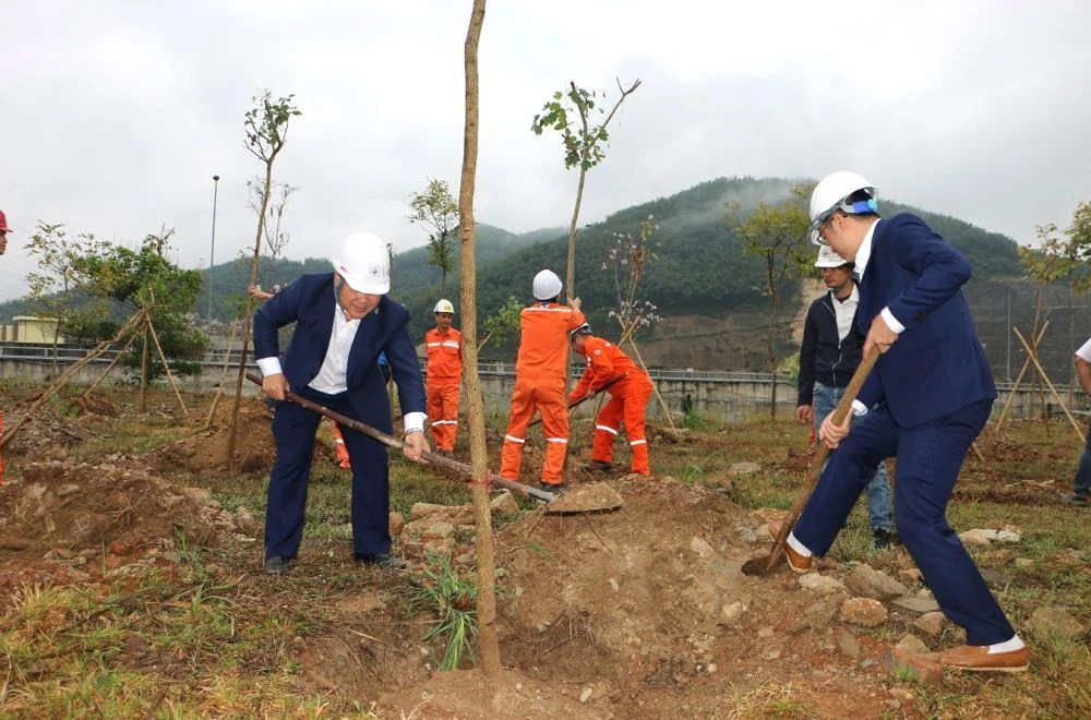 Công ty TNHH MTV Thủy điện Trung Sơn phát động trồng cây đầu xuân Bính Ngọ
