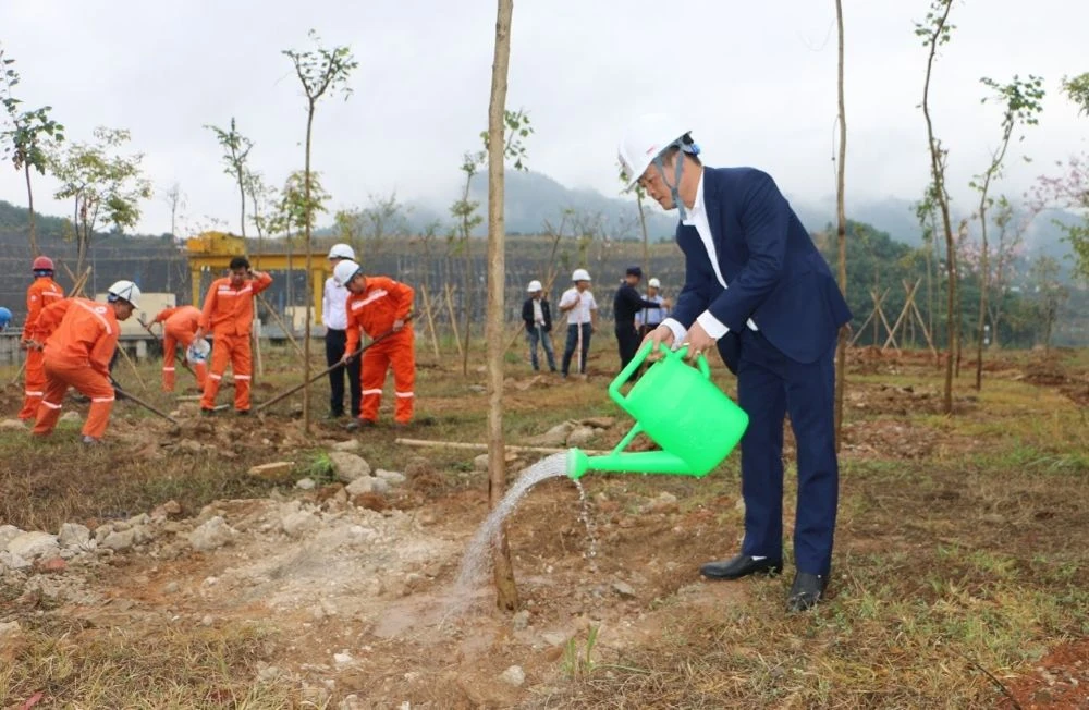 Công ty TNHH MTV Thủy điện Trung Sơn phát động trồng cây đầu xuân Bính Ngọ