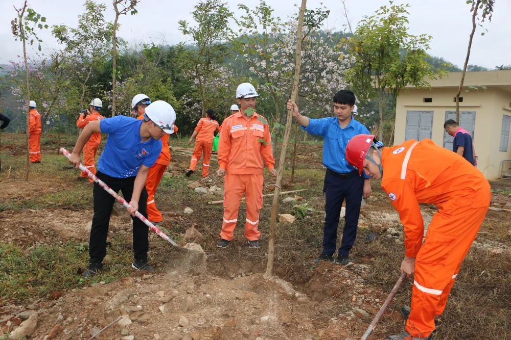 Công ty TNHH MTV Thủy điện Trung Sơn phát động trồng cây đầu xuân Bính Ngọ