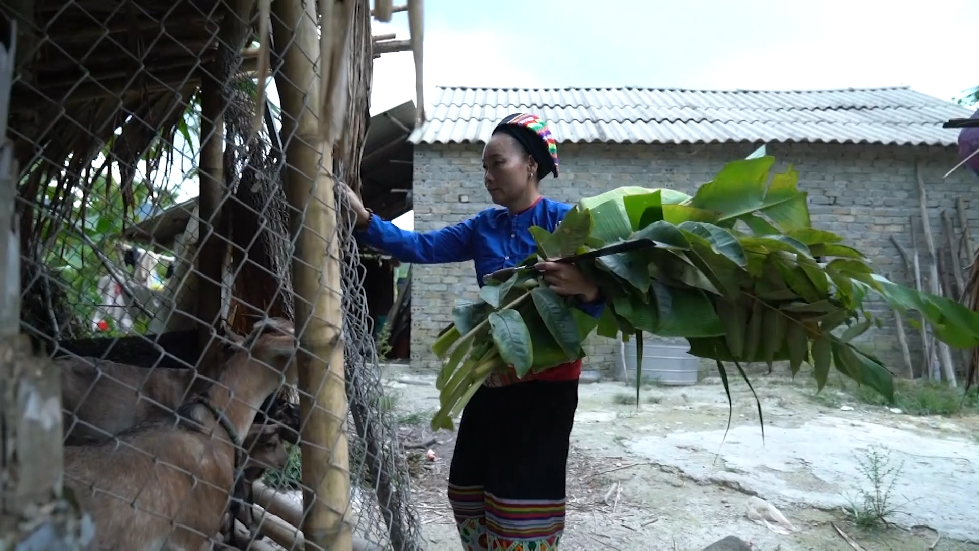 Chuyện thoát nghèo ở bản