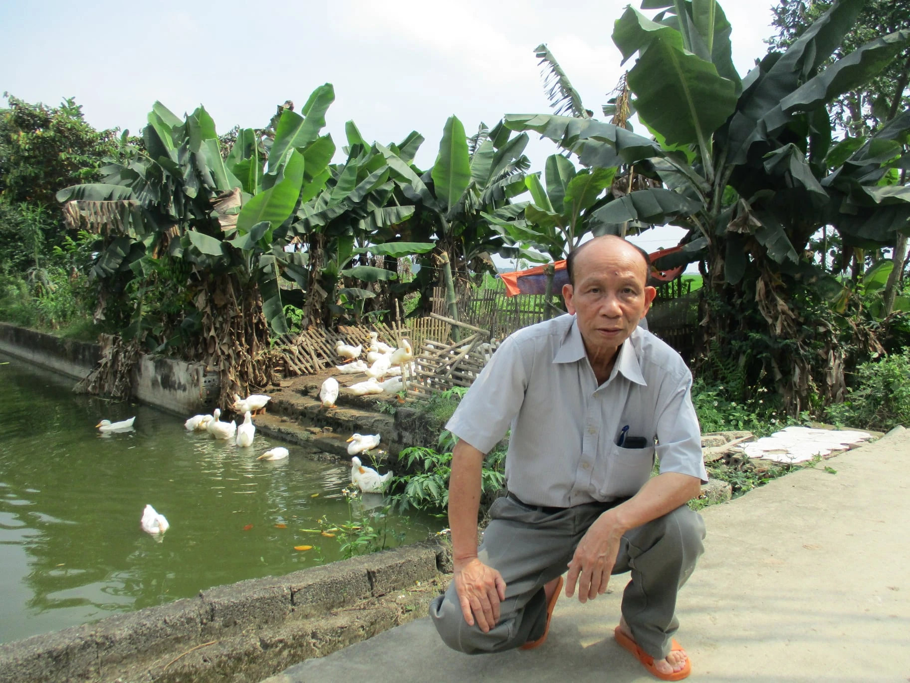 Dịch giả, nhà thơ Lê Bá Thự: Trọn đời phụng sự cái đẹp của ngôn từ