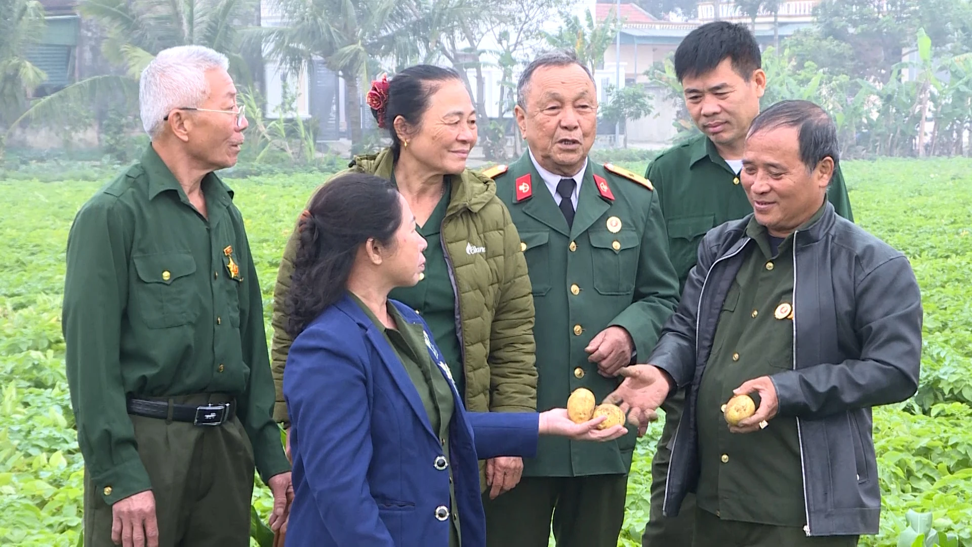 “Ông Kim khoai tây” và hành trình làm giàu từ đồng đất quê hương
