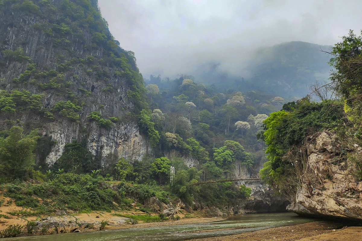 Đẹp như “tuyết trắng”, hoa thàn mát phủ kín núi rừng xứ Thanh