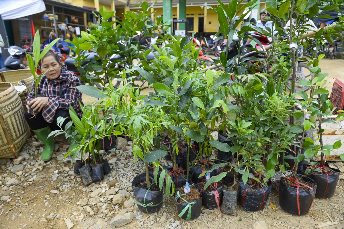 Chợ phiên Bát Mọt - nhịp sống vùng biên miền Tây xứ Thanh