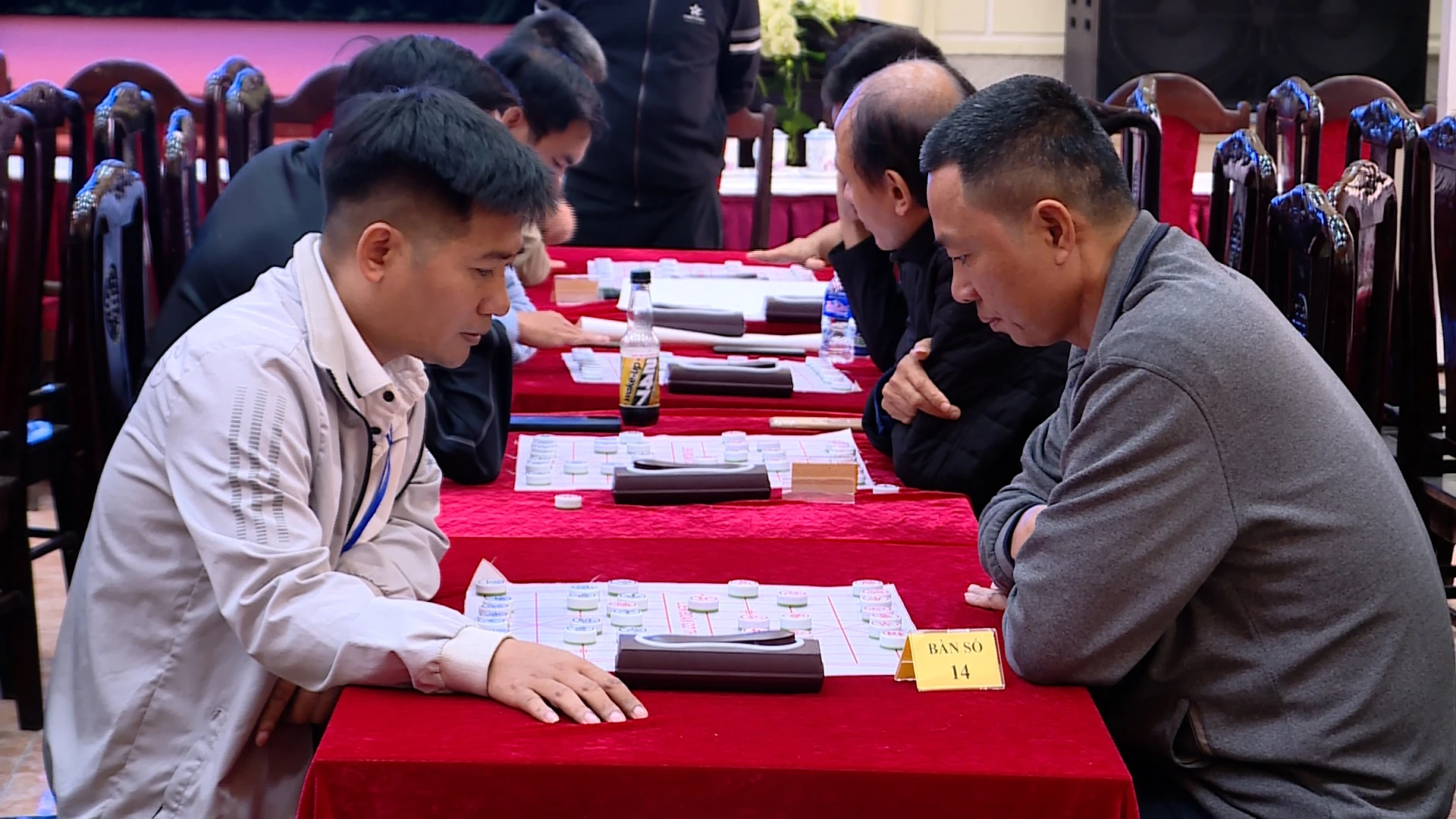 Khai mạc Giải Cờ vua, Cờ tướng trong chương trình Đại hội TDTT tỉnh Thanh Hoá lần thứ X, năm 2026