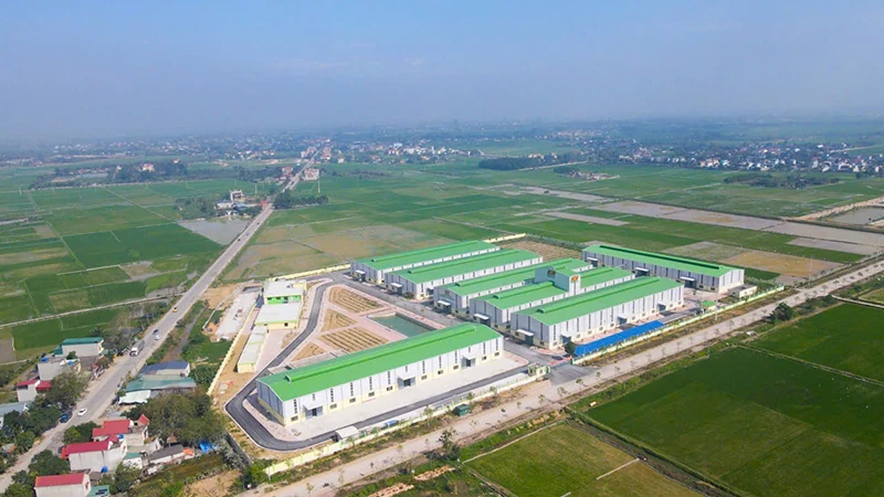 Doanh nghiệp về làng (Bài 3): Chuyển đổi tư duy, bứt phá hành động