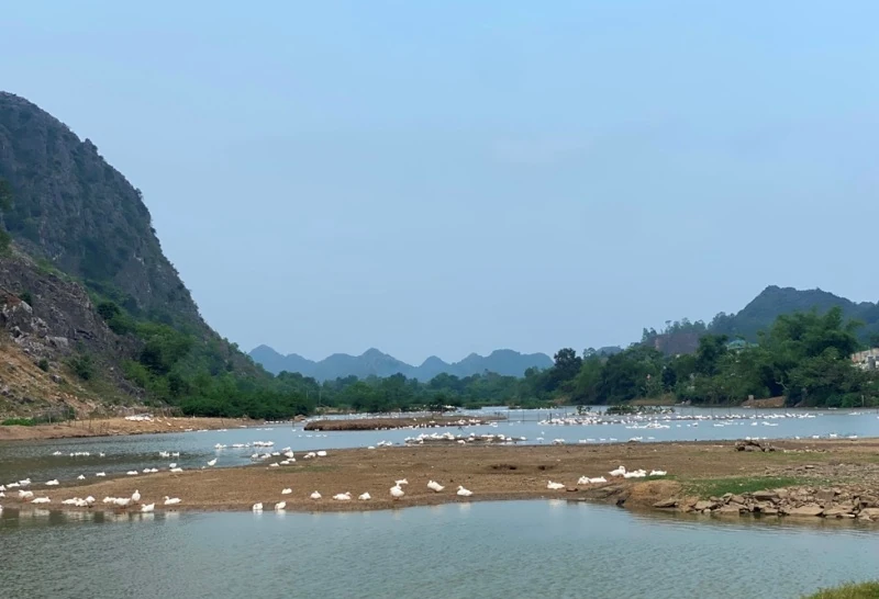 “Lạc bước” Phủ Suối