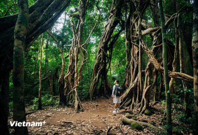 Nghỉ lễ 30/4: Khách Việt ưu tiên xuất ngoại gần với những trải nghiệm lạ, thú vị