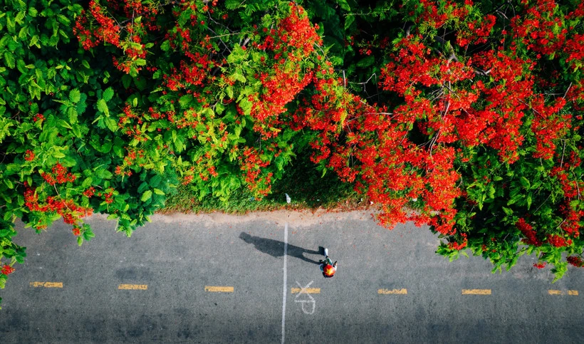 Nghỉ lễ 30/4: Khách Việt ưu tiên xuất ngoại gần với những trải nghiệm lạ, thú vị