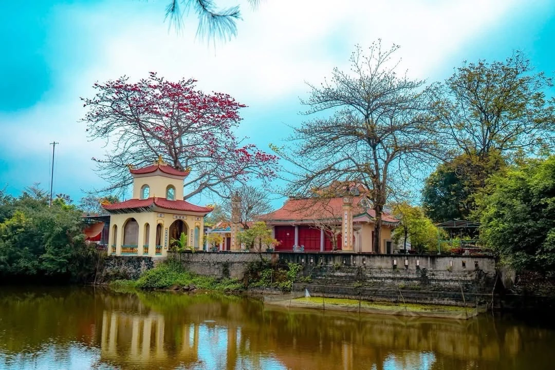 Chiêm ngưỡng hoa gạo nở đỏ rực tại đền Cá Lập và đền Thanh Khê, phường Sầm Sơn