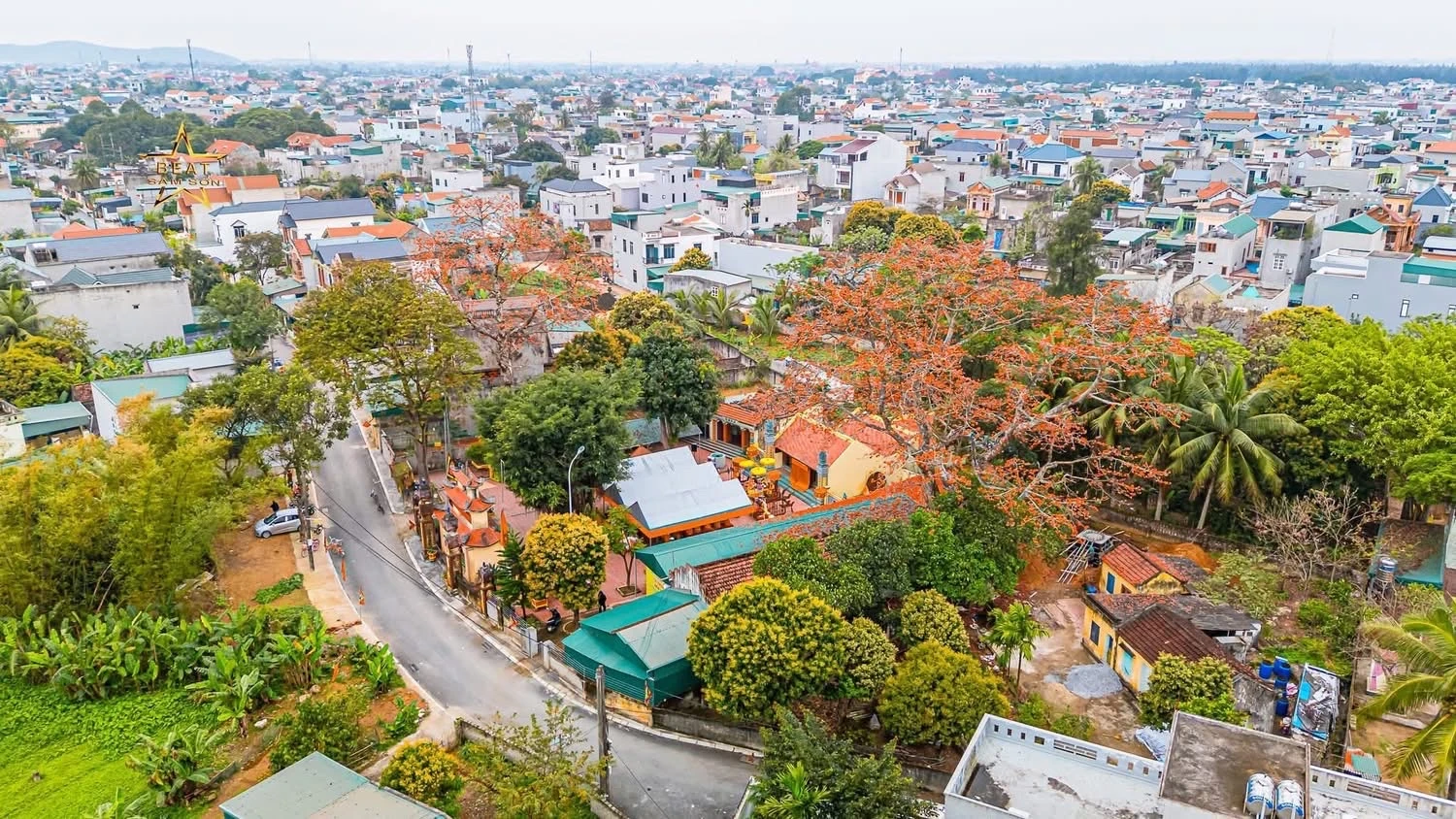 Chiêm ngưỡng hoa gạo nở đỏ rực tại đền Cá Lập và đền Thanh Khê, phường Sầm Sơn