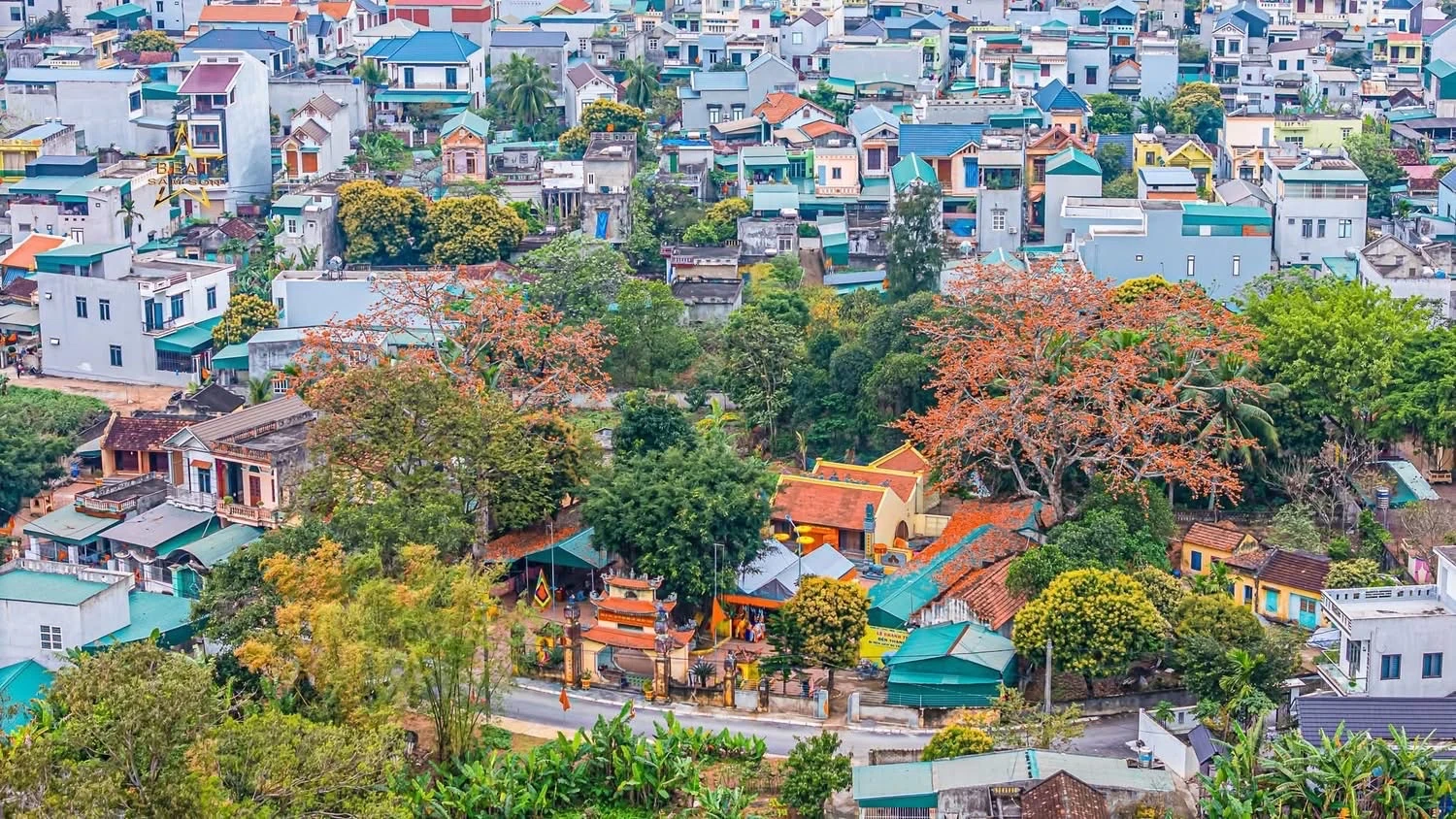 Chiêm ngưỡng hoa gạo nở đỏ rực tại đền Cá Lập và đền Thanh Khê, phường Sầm Sơn