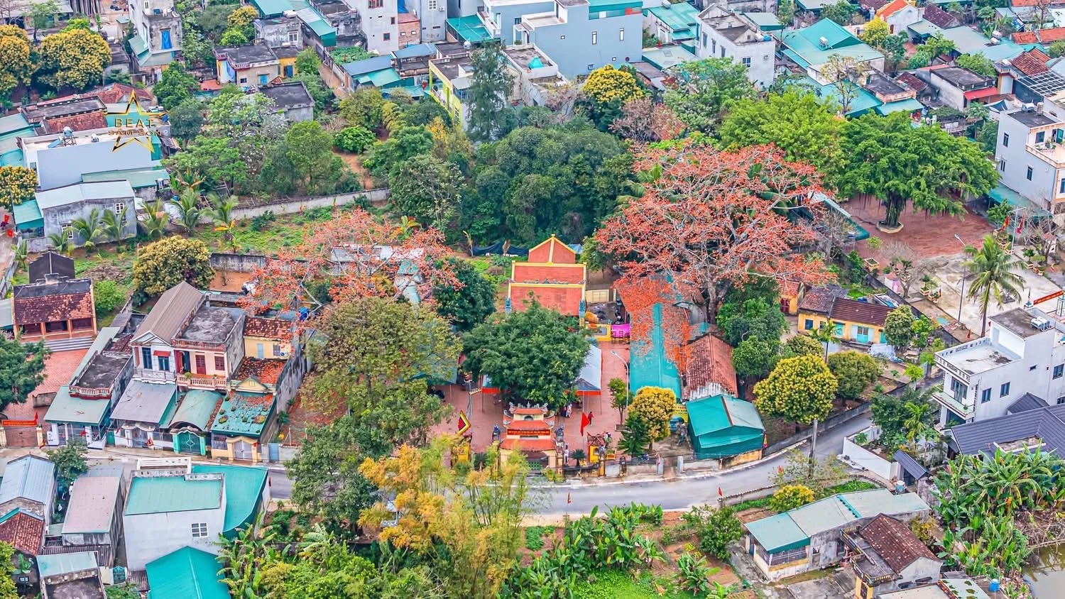 Chiêm ngưỡng hoa gạo nở đỏ rực tại đền Cá Lập và đền Thanh Khê, phường Sầm Sơn