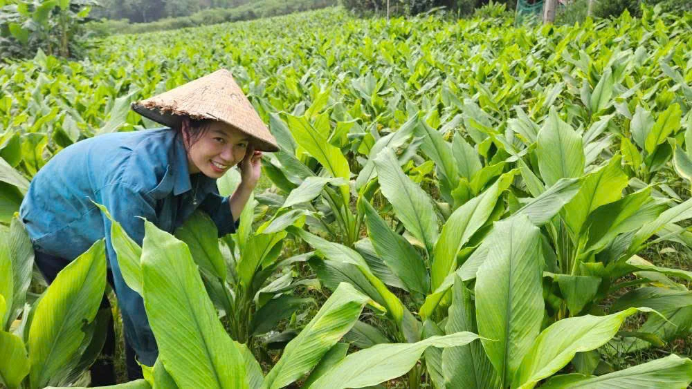 Khát vọng thanh xuân (Bài 6): Đánh thức đá xám, thắp sáng giảng đường