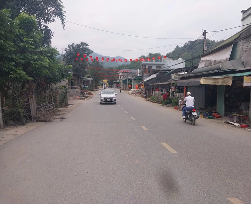 Khi đại ngàn “cất cánh” (Bài 1): Những con đường ấm no