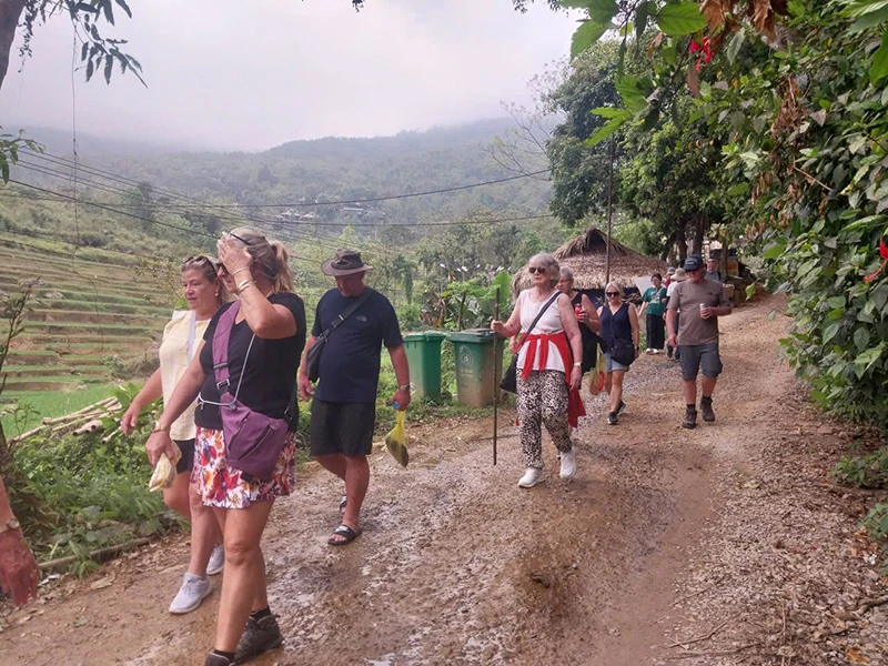 Khi đại ngàn “cất cánh” (Bài 2): Khi tiềm năng không còn... “ngủ quên”