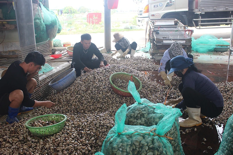 Vạn Lộc: Sức bật từ lợi thế biển