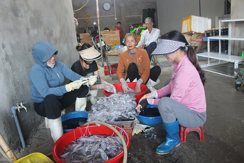 Vạn Lộc: Sức bật từ lợi thế biển