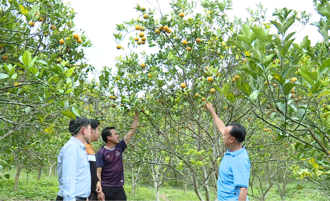 “Gieo mầm” nghĩa tình Thanh Hóa trên đất Hủa Phăn