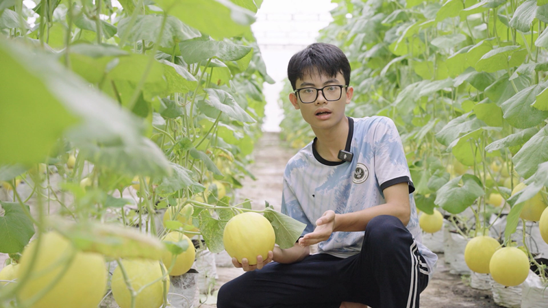 Hoạt động đổi mới sáng tạo trong học sinh