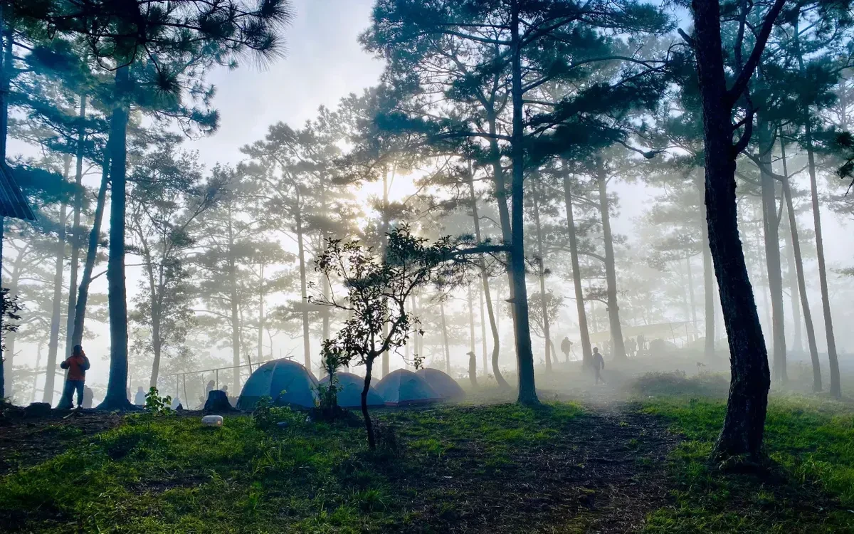 Du lịch hè 2026: Cuộc đua khởi động từ tháng 4