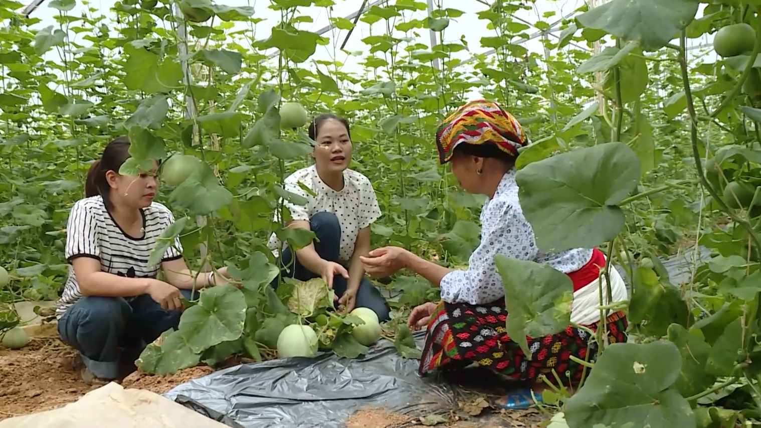 Thanh Kỳ: Đổi mới truyền thông, lan tỏa hiệu quả giảm nghèo đa chiều