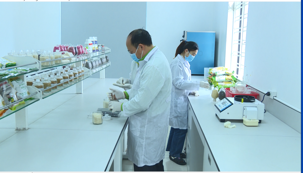 Hành trình từ phòng nghiên cứu đến thực tiễn