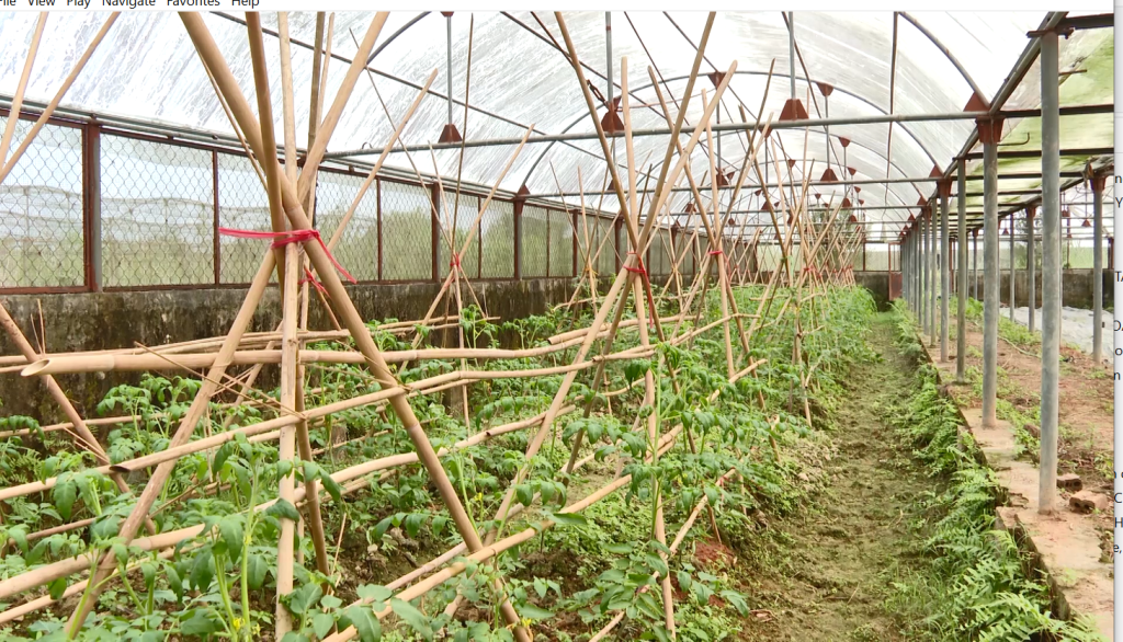 Hành trình từ phòng nghiên cứu đến thực tiễn