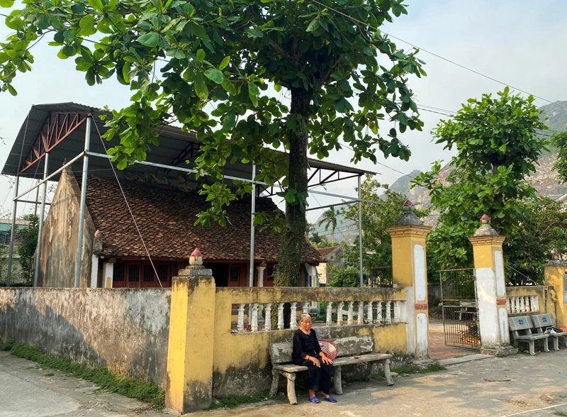 Di tích cấp quốc gia đền thờ Lê Hiểm - Lê Hiêu: Bao giờ được trùng tu?