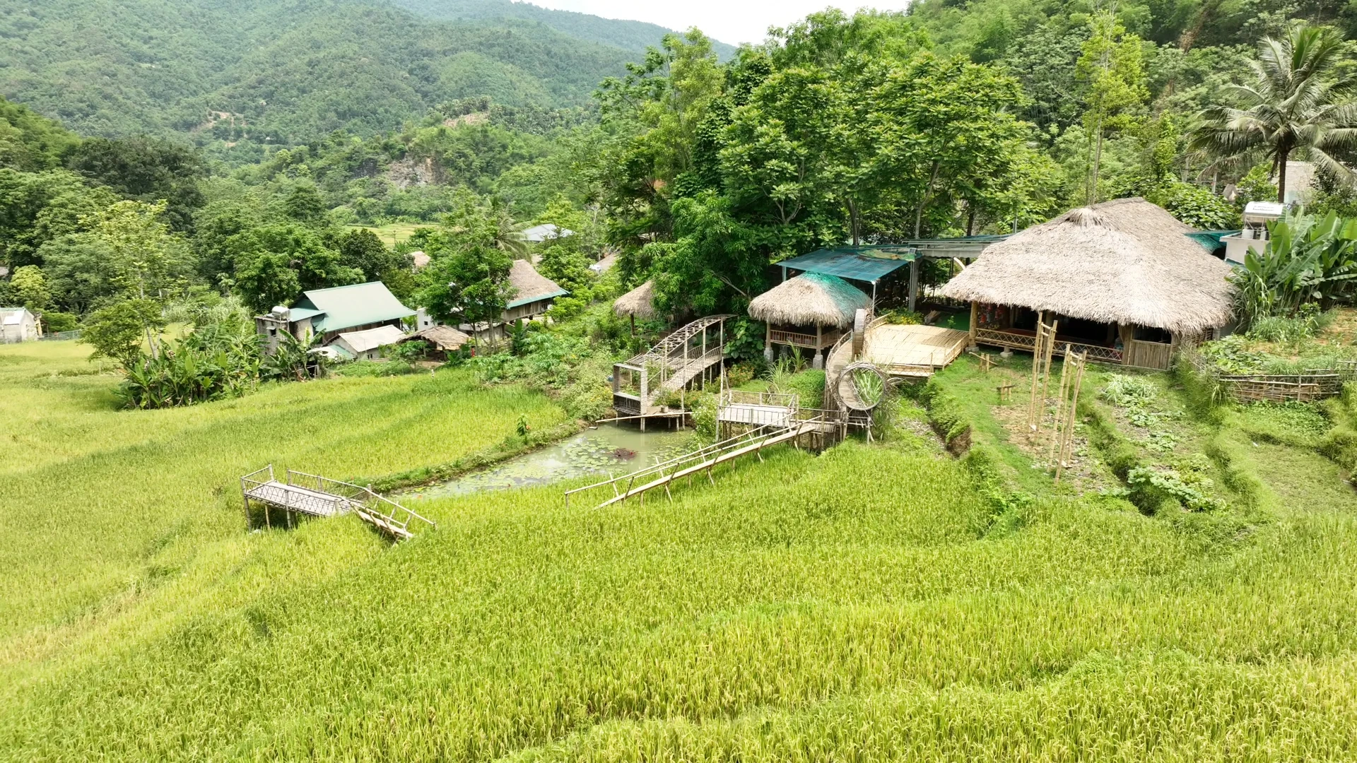 Phải lòng ẩm thực “quê choa”