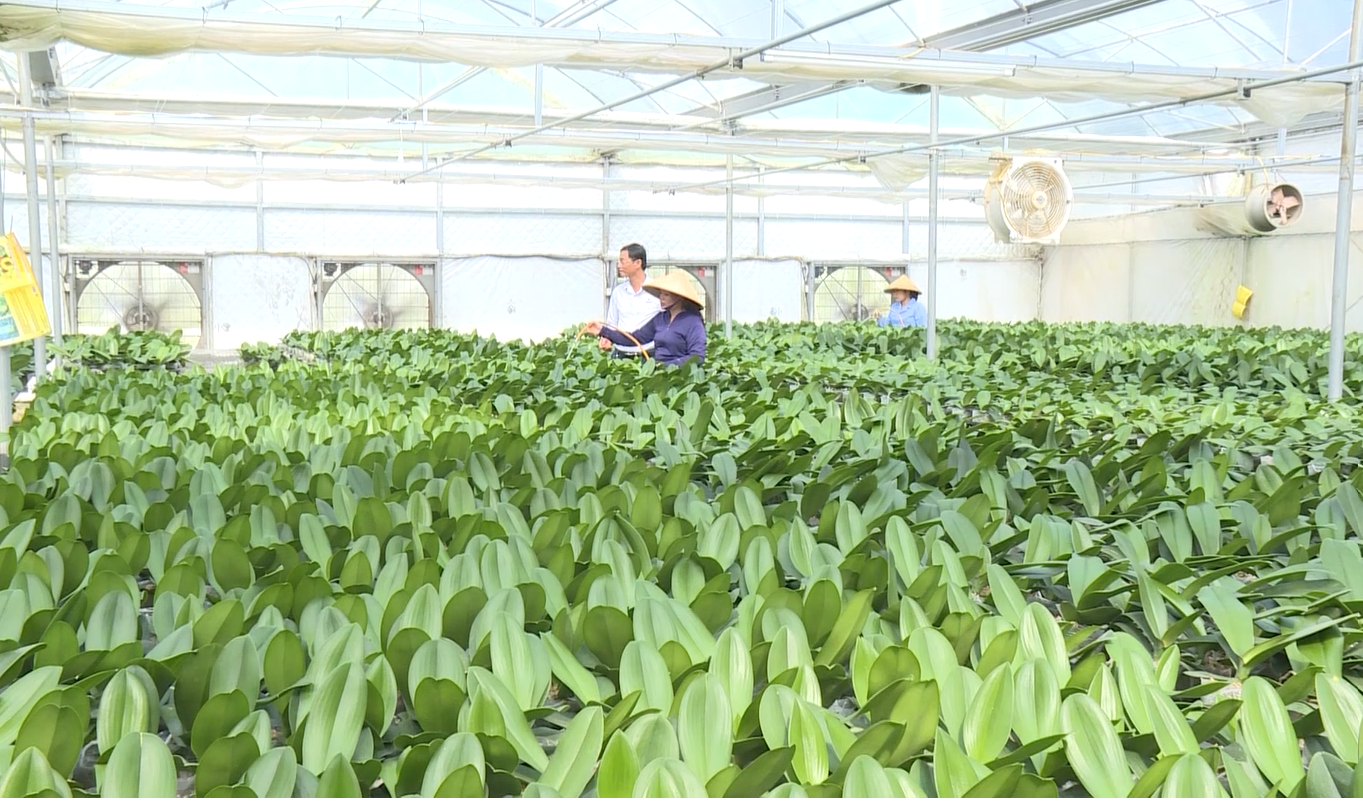 Đẩy mạnh chuyển đổi số hướng đến mục tiêu xây dựng nông thôn mới thông minh