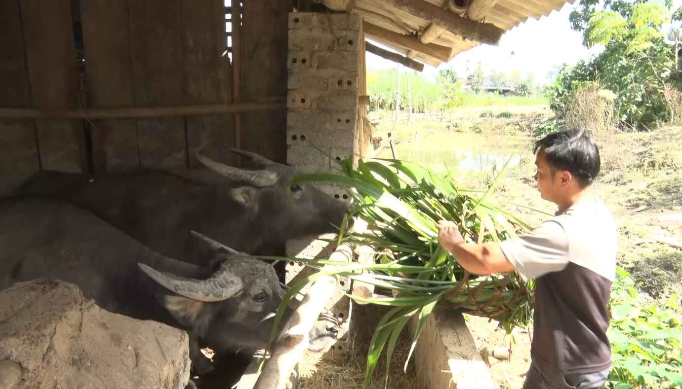 Sức sống nghị quyết giảm nghèo ở miền núi xứ Thanh