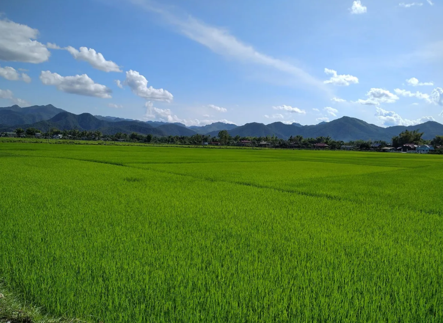 Khoảng trời tháng 4