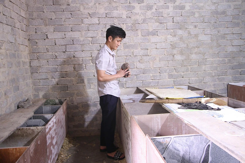 Trên vùng đất Xuân Thái