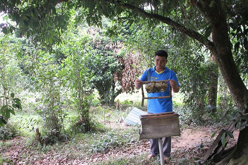 Trên vùng đất Xuân Thái