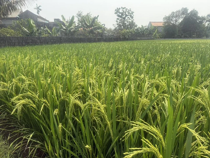 Hội Doanh nghiệp xã Quảng Chính phát huy vai trò liên kết, thúc đẩy kinh tế địa phương